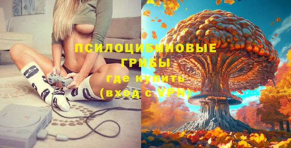 mix Бородино