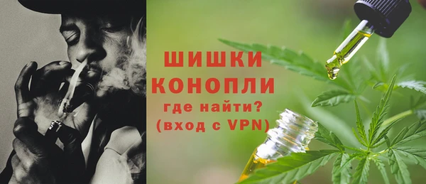 мдпв Бугульма