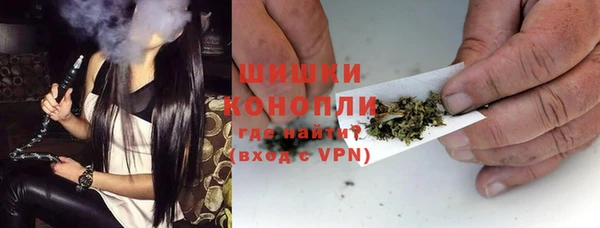 молекула духа Бронницы