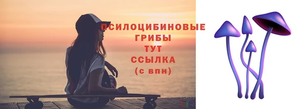 мдпв Бугульма