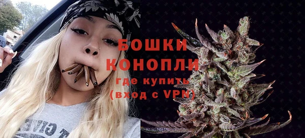 mix Бородино