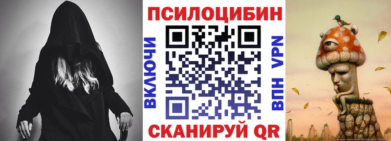 Галлюциногенные грибы Psilocybe  Купить где  Велиж 