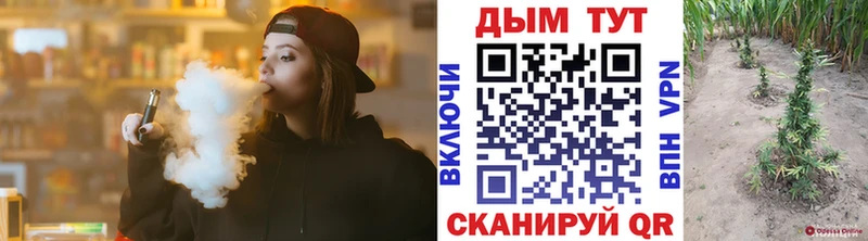 Купить  Велиж  Бошки Шишки план 